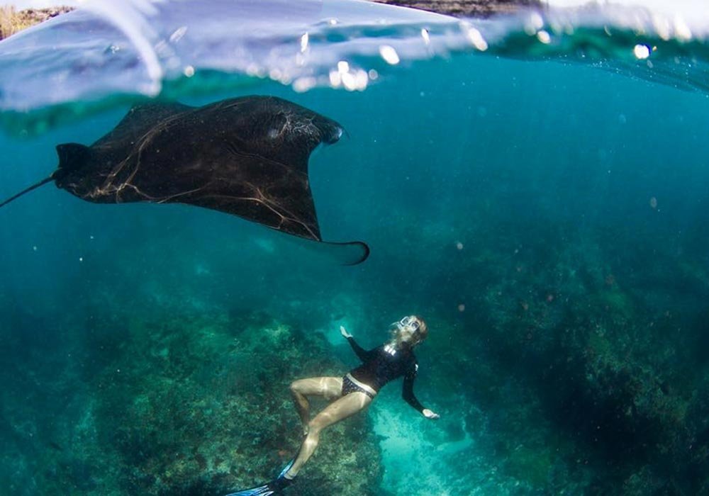 Gamat Bay, Nusa Penida Tour yang Terkenal akan Keindahannya