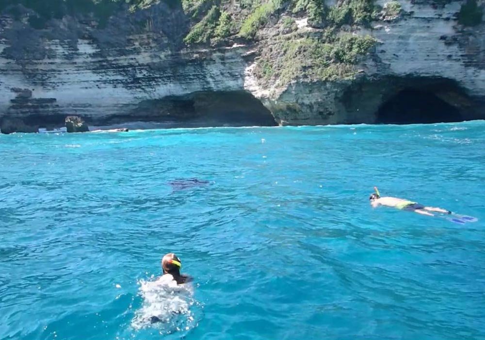 Manta Point Nusa Penida, Daya Tarik Diving yang Harus Anda Coba