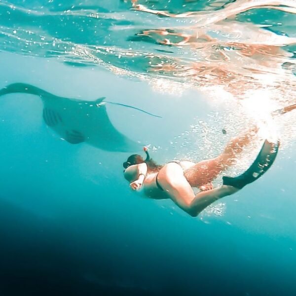 Nusa penida Snorkeling